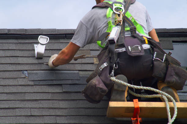 Best Storm Damage Roof Repair  in Williamsport, OH
