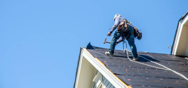Best Shingle Roofing Installation  in Williamsport, OH